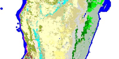 地図のマダガスカルでの植生