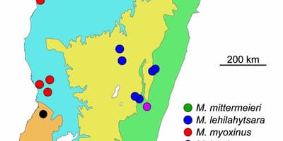 地図マダガスカルの熱帯雨林